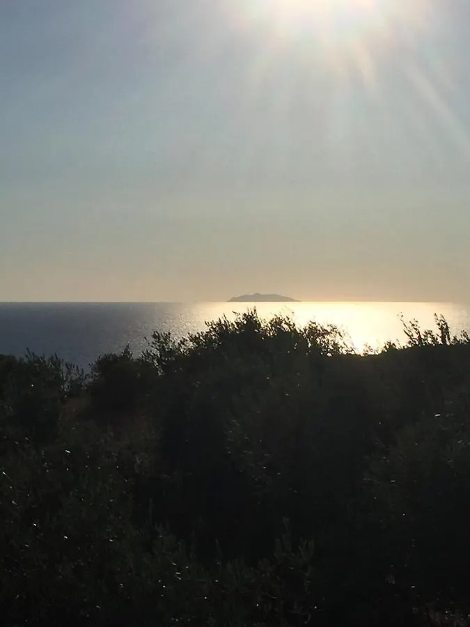 Suite Eleven Castiglioncello