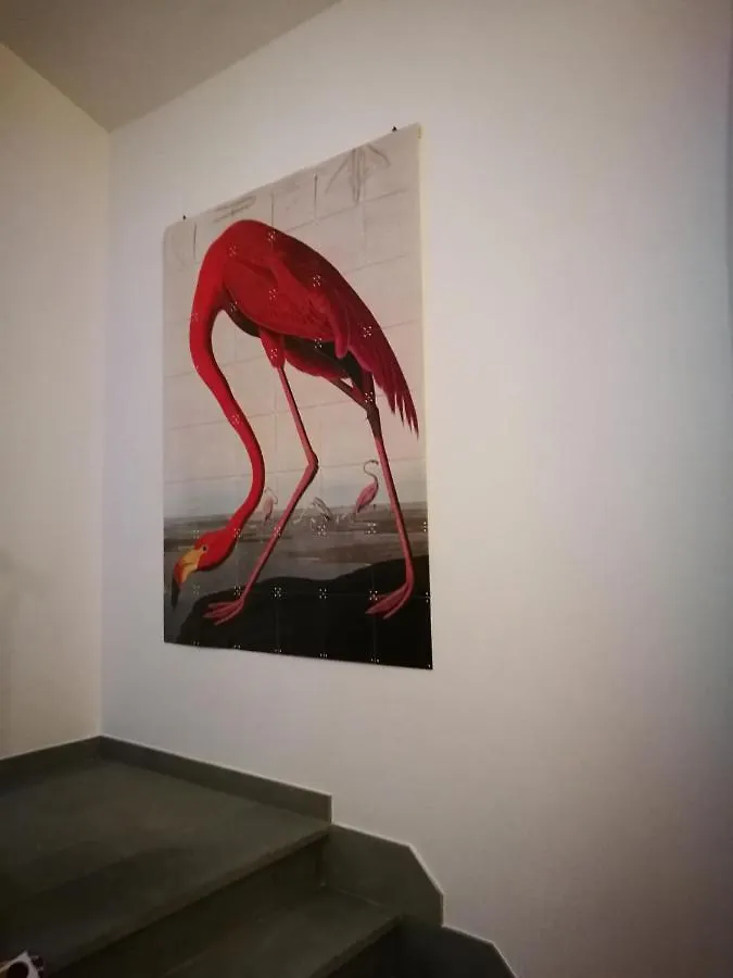 Suite Eleven Castiglioncello Appartement