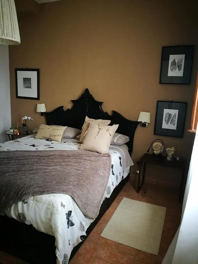 Suite Eleven Castiglioncello Appartamento